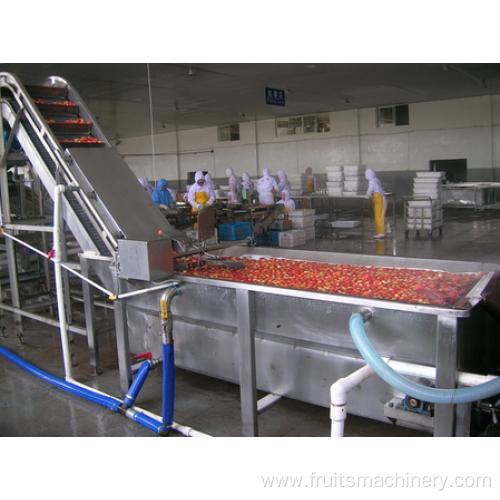 tomato jam processing plant